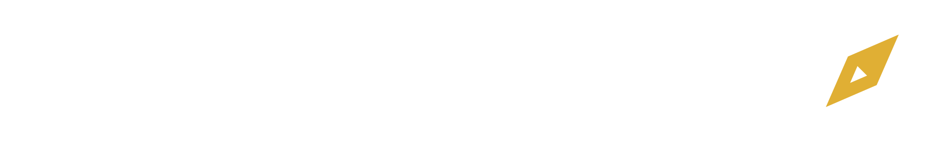 A'Pelago logo — Since AI partner